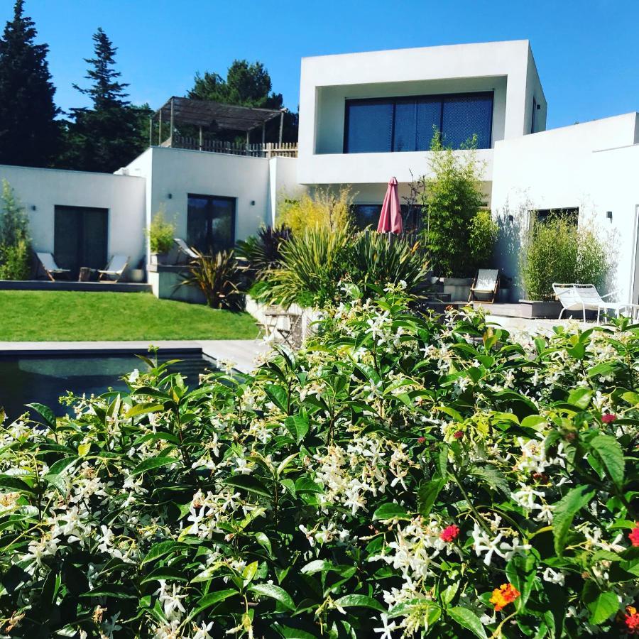 Villa Le Sud Cassis Exteriör bild